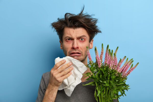 Unwell man suffers from rhinitis and allergy, sneezes in napkin while holds a blooming plant